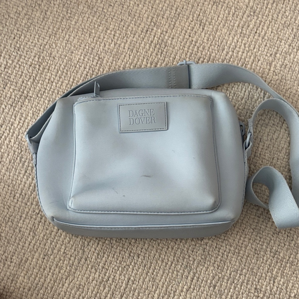 Dagne Dover Light Gray Belt Bag